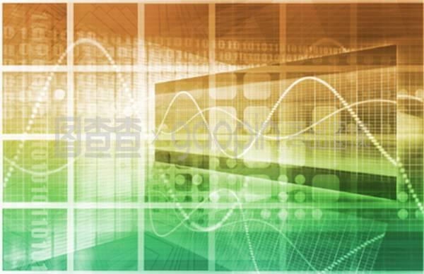 信息技術(shù)中的網(wǎng)絡(luò)與信息安全軟件開發(fā)