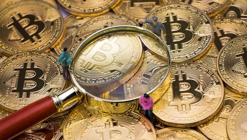 A股六大數(shù)字貨幣龍頭股，國(guó)家隊(duì)重倉(cāng)布局，網(wǎng)絡(luò)與信息安全軟件開(kāi)發(fā)價(jià)值被低估