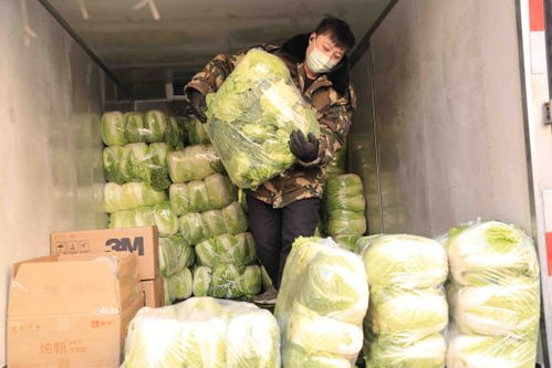 大商沈陽集團穩物價保民生，以低于進價供應蔬菜等生活必需品